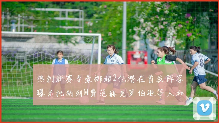 热刺新赛季豪掷超2亿潜在首发阵容曝光托纳利M费范赫克罗伯逊等人加盟