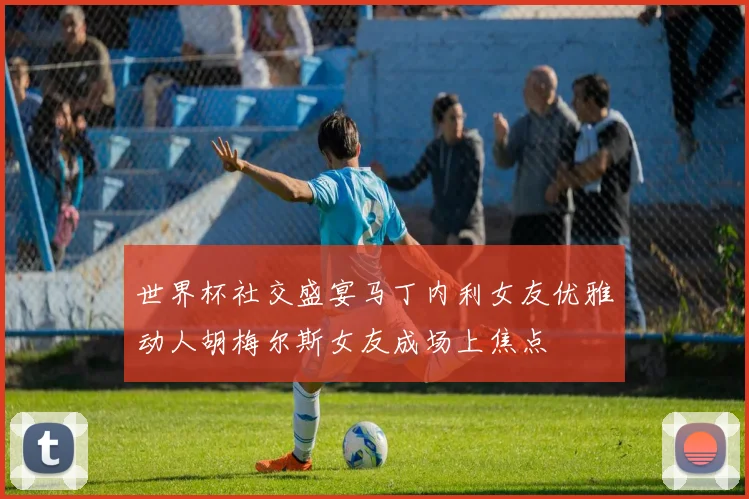 世界杯社交盛宴马丁内利女友优雅动人胡梅尔斯女友成场上焦点