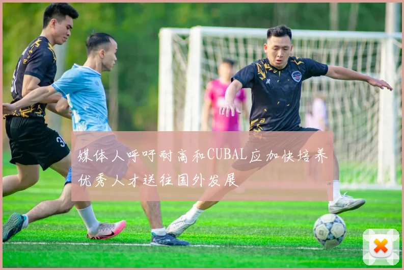 媒体人呼吁耐高和CUBAL应加快培养优秀人才送往国外发展