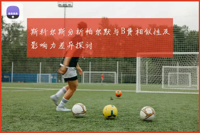 斯科尔斯分析帕尔默与B费相似性及影响力差异探讨