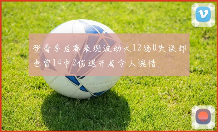 登哥季后赛表现波动大12场0失误却也曾14中2伤退开局令人惋惜